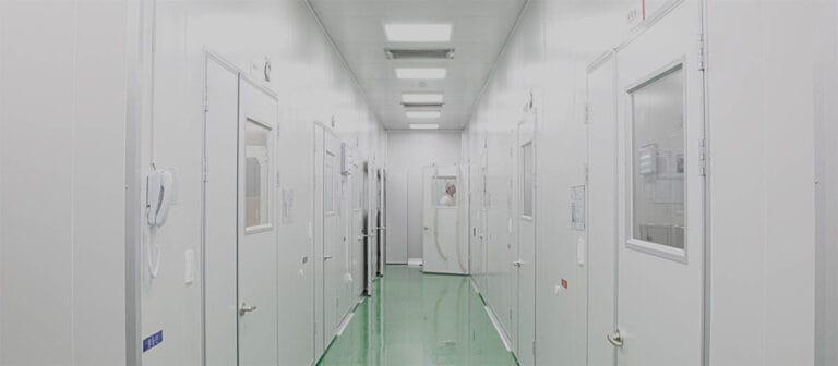 파인애플 효소와 카뮤트 효소 패키지 전략